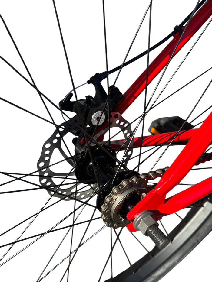 Street Code 29' Bike Disc